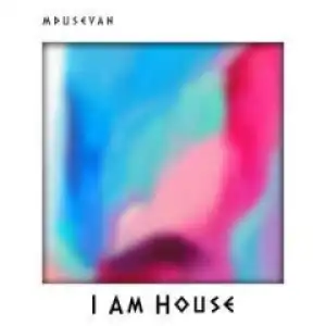 Mdusevan - My Kinda Soul